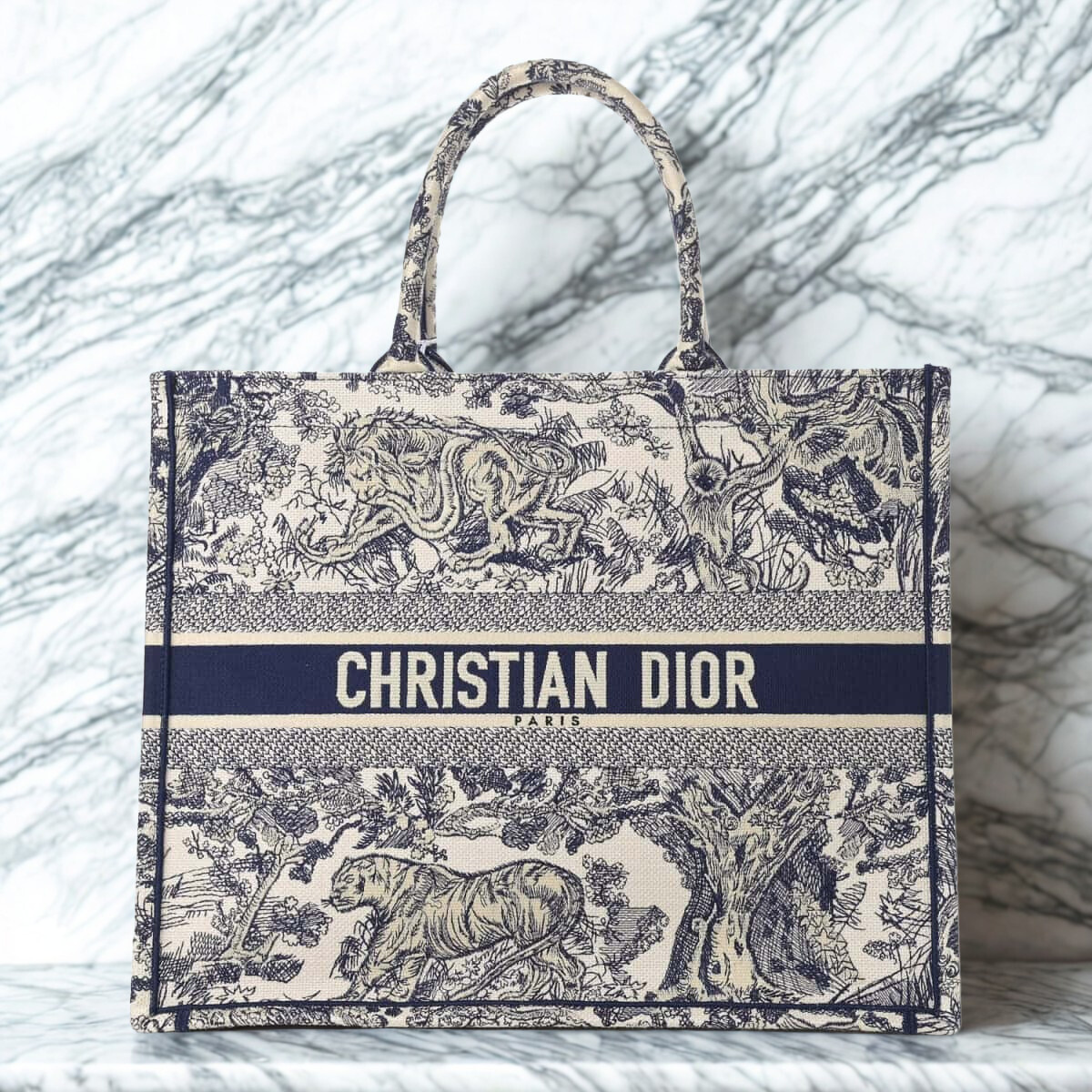 LARGE DIOR BOOK TOTE BAG
